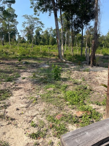 ដីលក់នៅកោះរ៉ុង ក្រុងព្រះសីហនុ