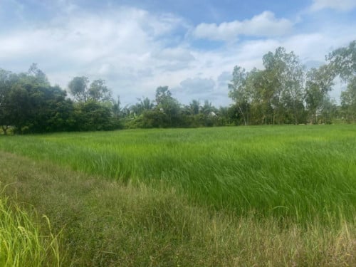 🏦Land Available for Urgent Sale at a Special Price (Negotiable).