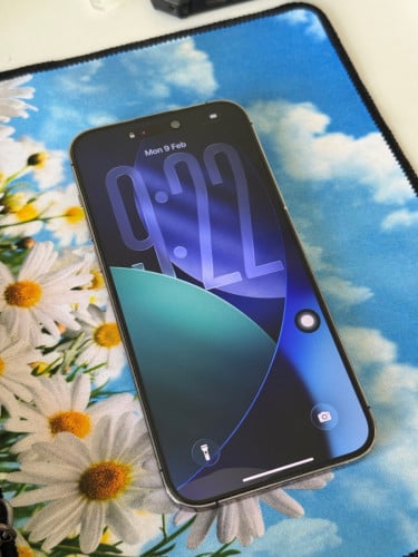 iPhone 14 Pro Max 256G