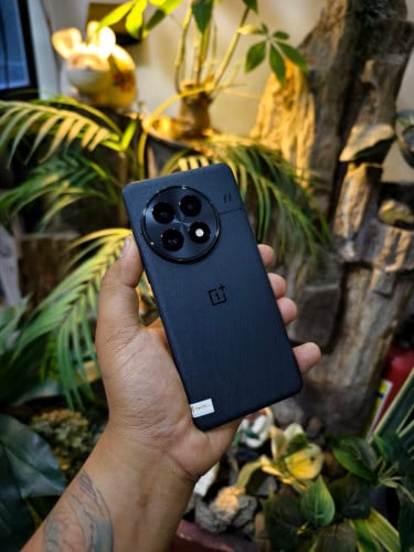 One plus 13 (Global)Firmware/ram12/256G/