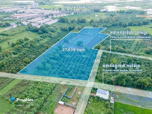 Prime Corner Land in Arey Khsat - Only $250 / sqm