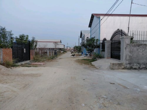 ដីឡូតិ៍លក់បន្ទាន់