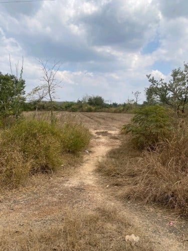 ដីលក់ក្រោមហាងឆេង