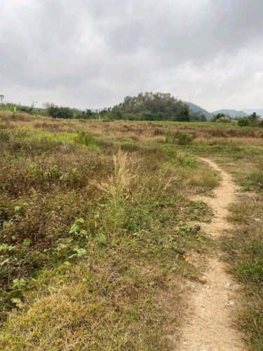 ដីលក់ក្រោមទីផ្សារ