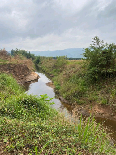 ដីលក់ក្រោមទីផ្សារ