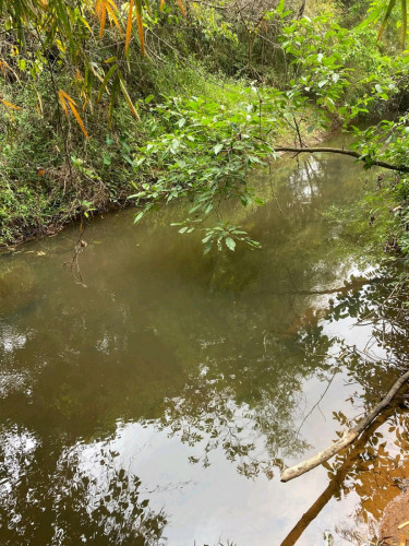 ដីលក់ក្រោមទីផ្សារ