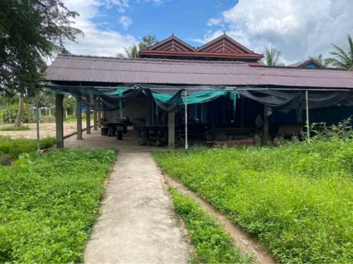 ដីលក់ក្រោមទីផ្សារ