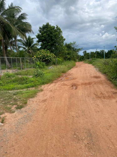 ដីលក់ក្រោមទីផ្សារ