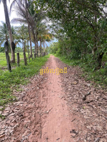 ដីលក់ក្រោមទីផ្សារ