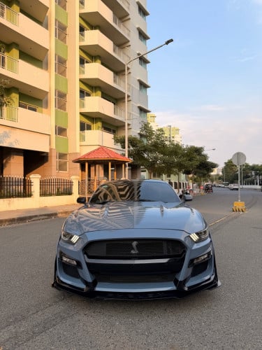 Ford mustang 50th anniversary