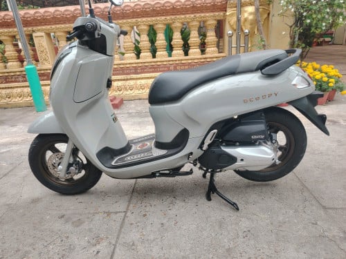 Honda scoopy2025