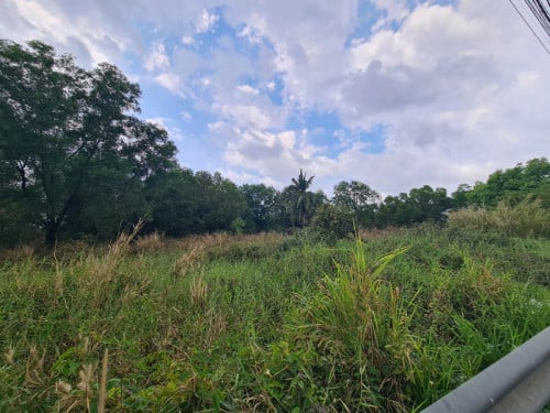 Land for Sale Under Market Price