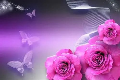 Sale Admin (ផ្នែកចេញបុង)