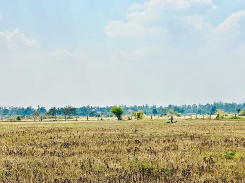 ដីចំការតំបន់ទឹកធ្លាក់ថ្មក្រាល