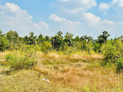 ដីចំការតំបន់ទឹកធ្លាក់ថ្មក្រាល