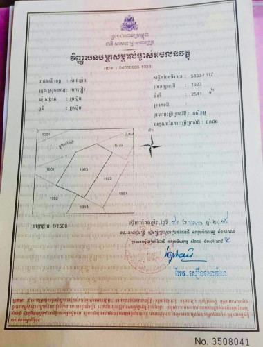 ដីលក់បន្ទាន់ខ្លាំងជាប់ផ្លូវកៅស៊ូ