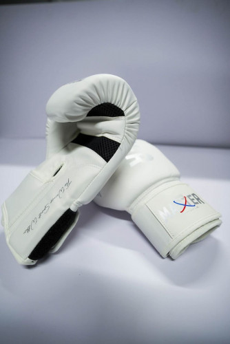 ហ្គង់ Boxing Glove