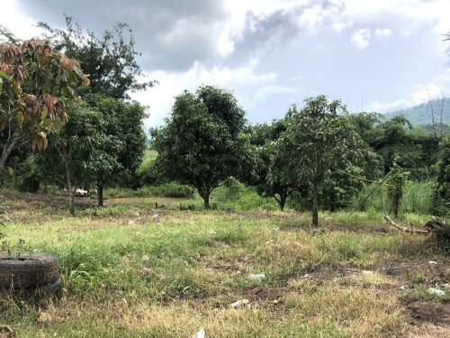 🏦Land Available for Urgent Sale at a Special Price (Negotiable).