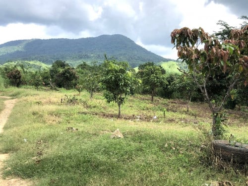 ๐ฆLand Available for Urgent Sale at a Special Price (Negotiable).
