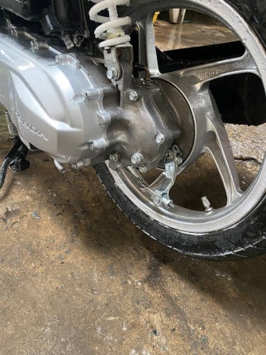 Honda scoopy.I updated 2024