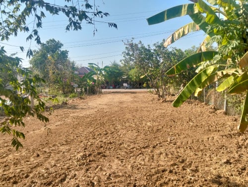 Land for rent