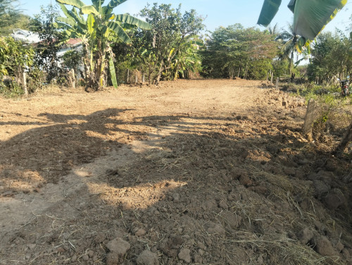 Land for rent