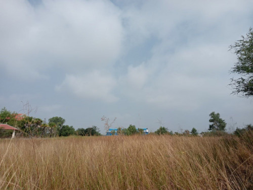 #ដីសម្រាប់លក់បន្ទាន់លក់ខាត (ផ្លូវជាតិលេខ8 ជិត7NG)