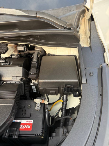KIA carnival 2019