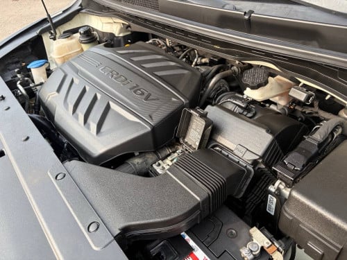 KIA carnival 2019