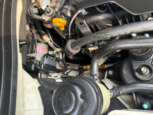 KIA carnival 2019