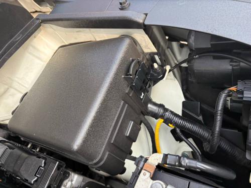 KIA carnival 2019