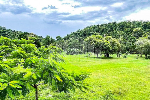 Land for sale​ in Kep City