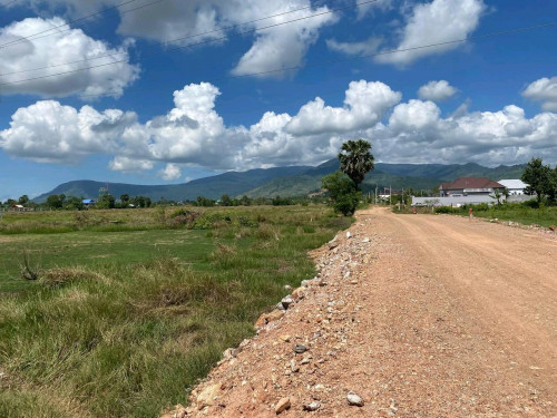 ដីលក់