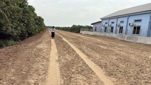 土地出售 ជ្រៃធំ 越南边境（本人）