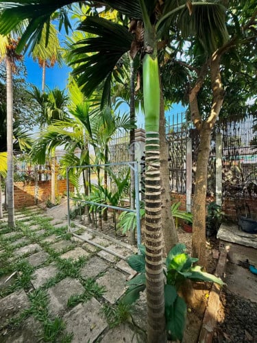 2 bedrooms house for rent available to view now located in Salakomreuk