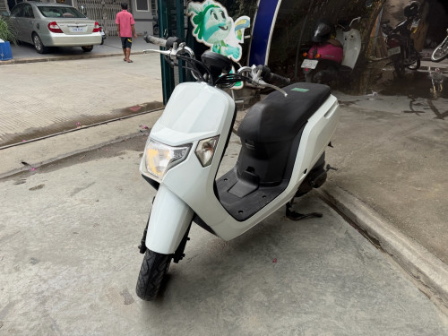 HONDA DUNK TAX PAPER NEVER USED IN CAMBODIA