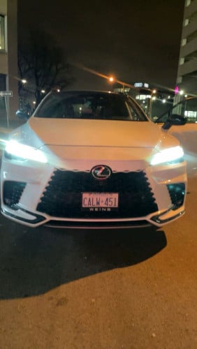 Lx rx 500h
