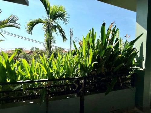 One bedroom $250 fro rent in Siem Reap