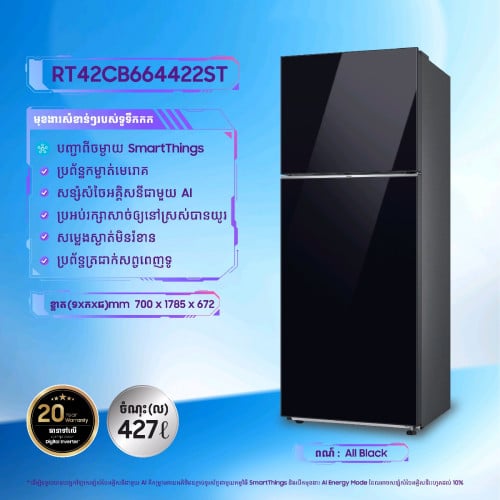 Samsung Refrigerator RT20HAR1DSA