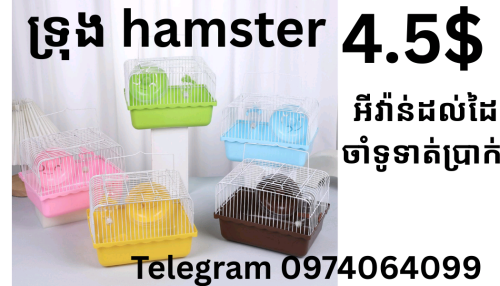 មើលទំនិញបាន រើសពណ៍បាន មានទីតាំងលក់