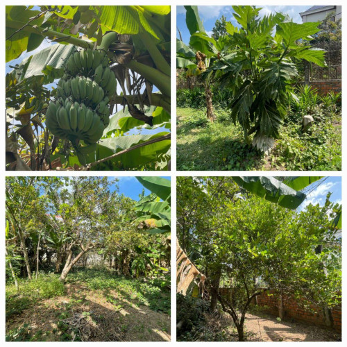 ផ្ទះសំរាប់ធ្វើអាជីវកម្មលក់បន្ទាន់ ប្លង់រឹង ជាប់ផ្លូវធំ