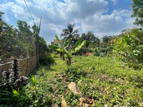 ផ្ទះសំរាប់ធ្វើអាជីវកម្មលក់បន្ទាន់ ប្លង់រឹង ជាប់ផ្លូវធំ