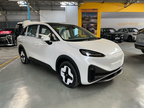 Beijing Automotive Laois