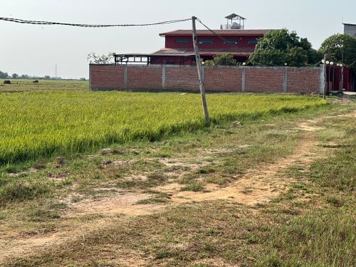 សៀមរាប