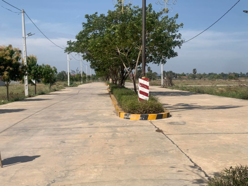 ដីផ្លវ41