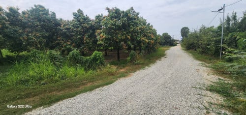 Premium Land for Sale โ High Potential Investment Opportunity