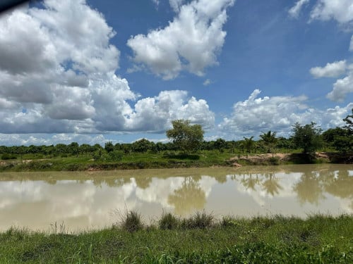 ដីសំរាប់លក់ មានដំណាំបានផលស្រាប់