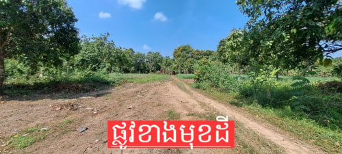 ដីលក់នៅក្រុងអរិយក្សត្រ (ម្ចាស់ផ្ទាល់)