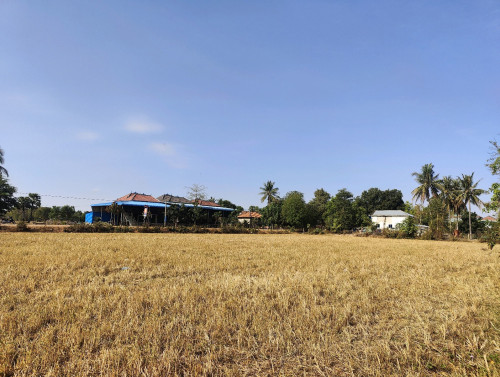 ដីលក់បន្ទាន់