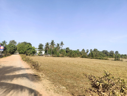 ដីលក់បន្ទាន់